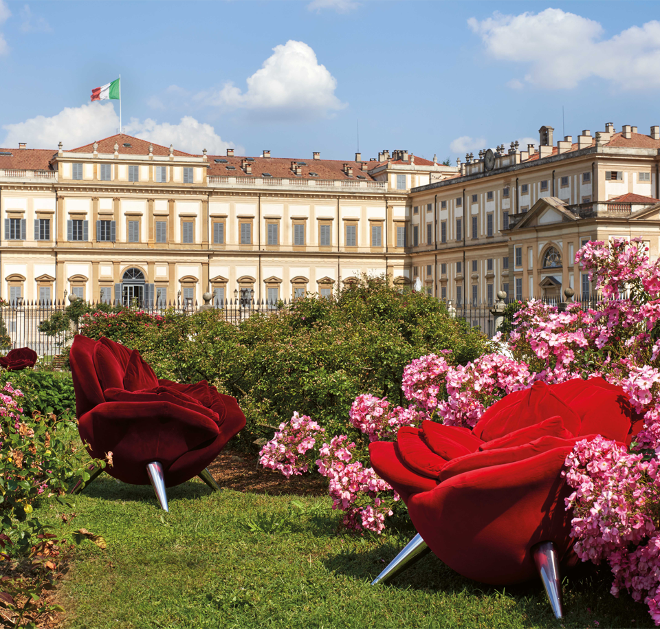 Sengfelder Edra - Sessel Rose Chair