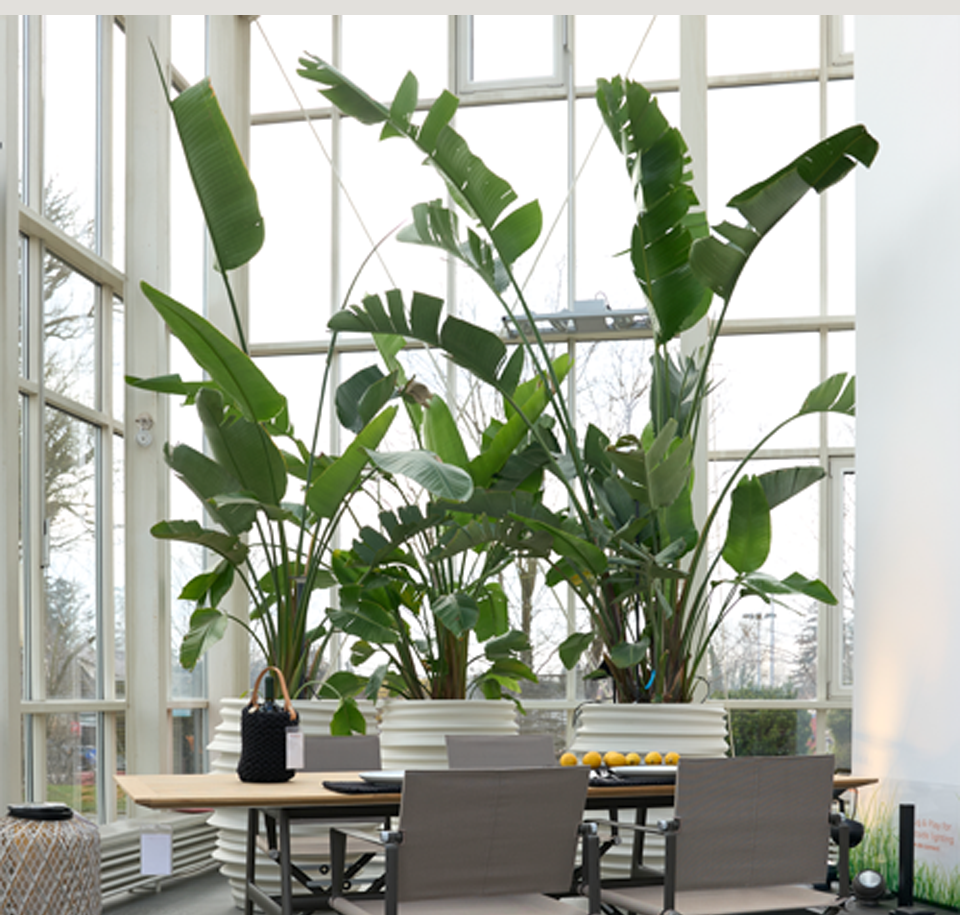 Sengfelder Dedon - Outdoor-Pflanztopf Babylon Planter L