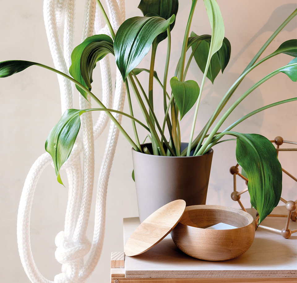 Sengfelder Schönbuch - Schale Bowl