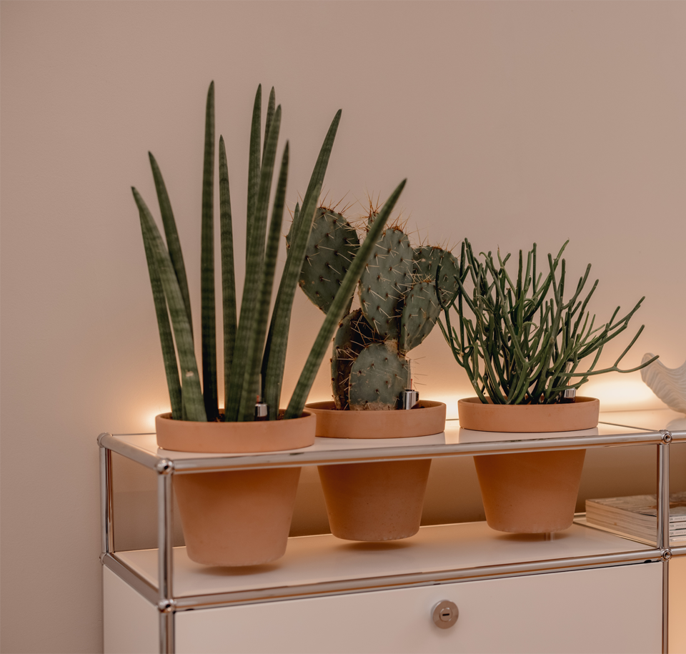 Sengfelder USM - Sideboard 